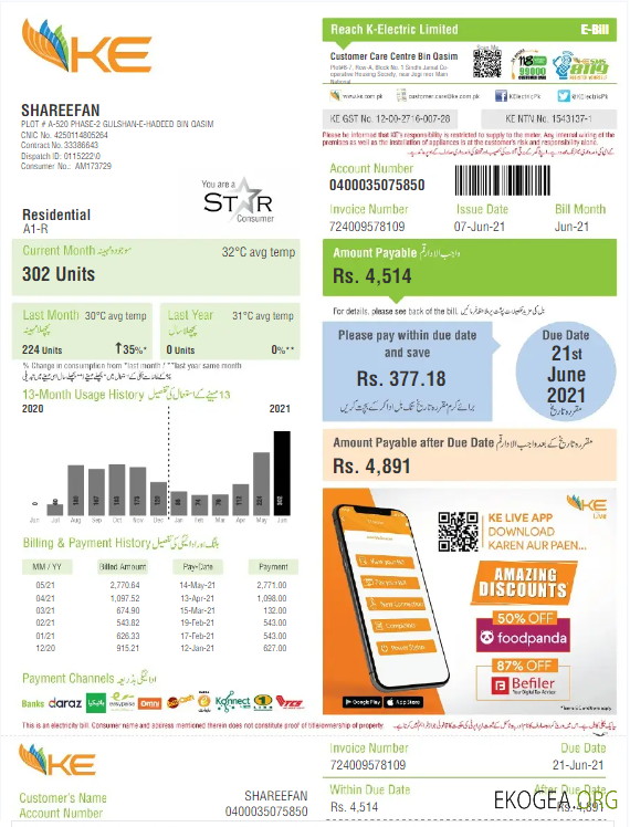PAKISTAN K ELECTRIC LIMITED utility bill Word and PDF template
